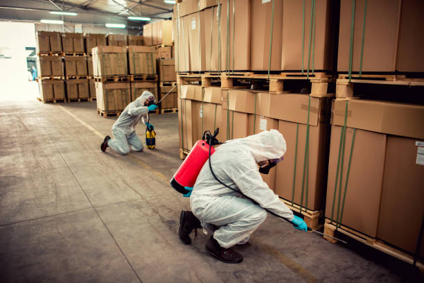 Best Pest Inspection Near Me  in Wentworth, NC