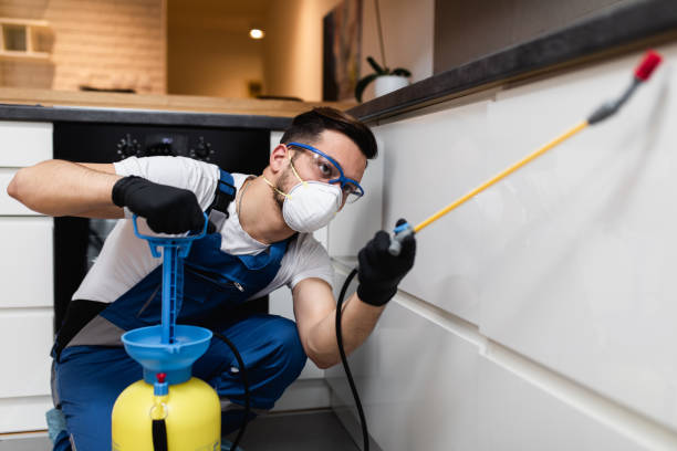 Trusted Wentworth, NC Pest Control Experts