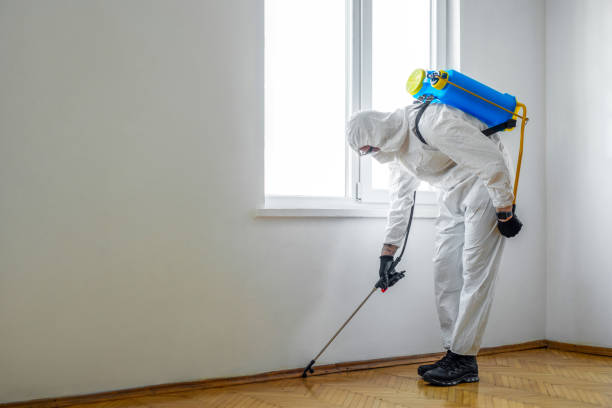 Best Wasp Removal Services  in Wentworth, NC