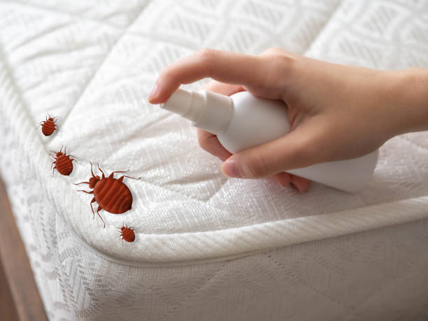 Best Residential Pest Control  in Wentworth, NC