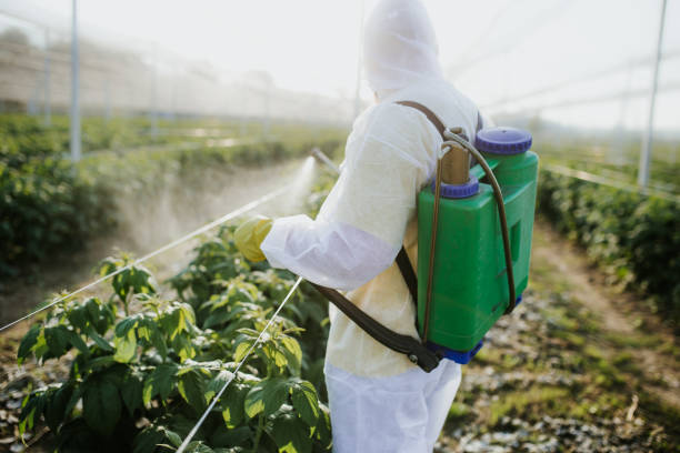 Best Wildlife Control Services  in Wentworth, NC